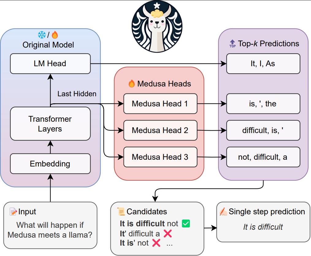 Medusa pipeline: extra decoding heads on top of the target model predict multiple future tokens, which are assembled into candidates and verified with tree attention.